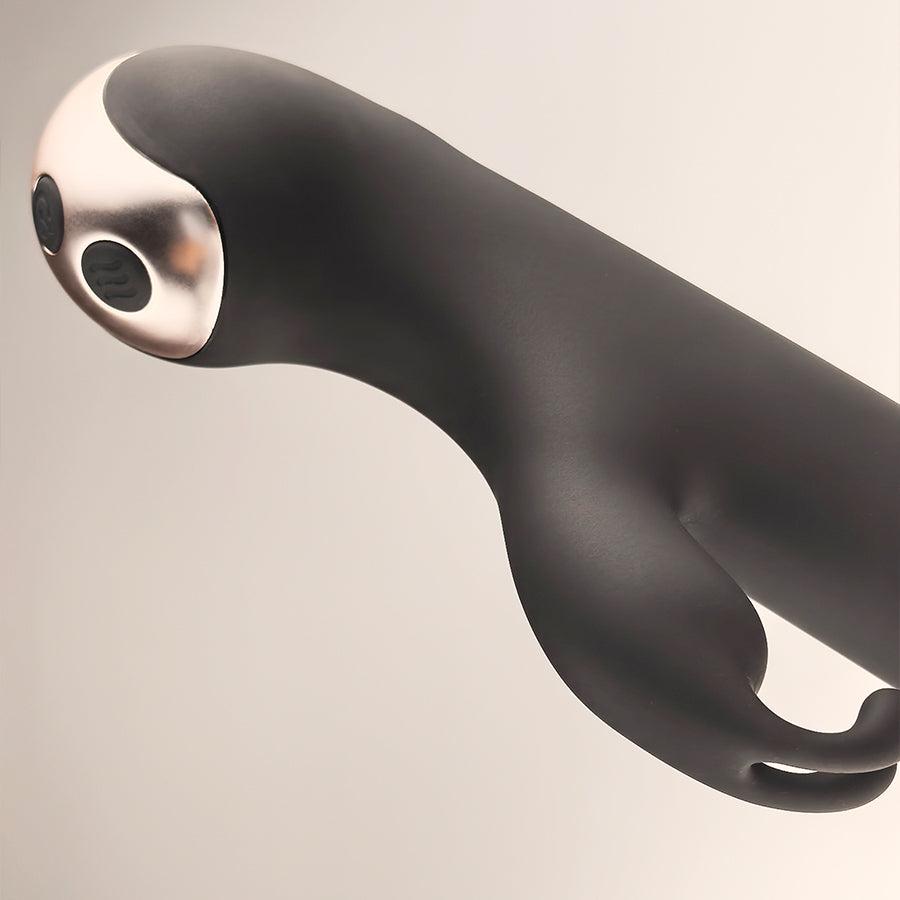 Leo Amour Ⅲ dual-spot vibrator