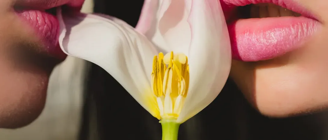 A pale tulip held between two lips